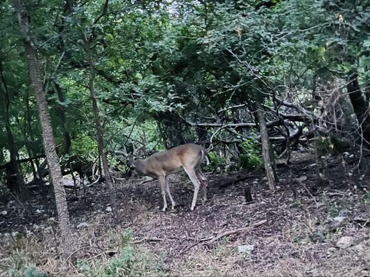 Robert L.B. Tobin Park