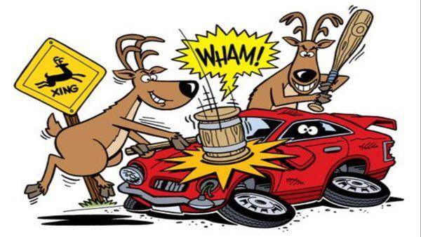 TRI COUNTY COLLISION INC