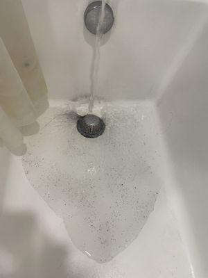 Disgusting water you will use for bath mouth watering, and laundry every day