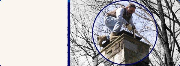 Pest Patrol Co Control