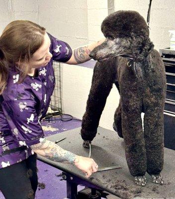 Audrey Lynn Grooming