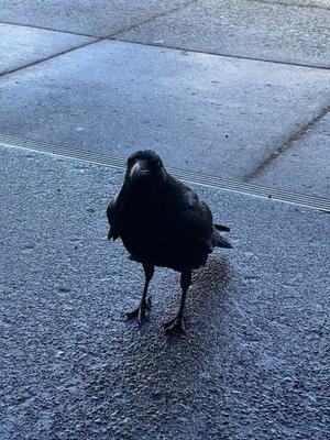 Old Faithful General Store