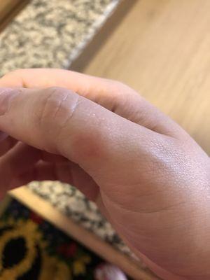 Siegel Suites Senator