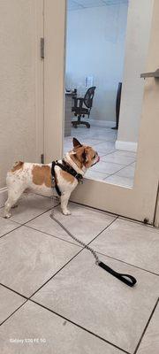 Kendall Animal Medical Center