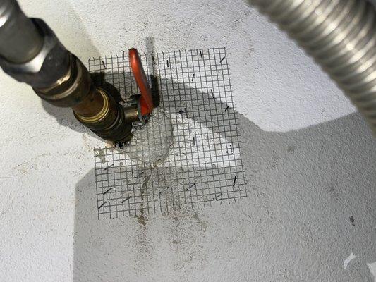 Bellbrook Pest and Termites