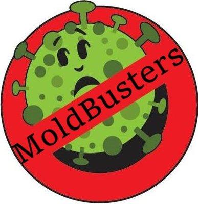 Mold Busters Lewisville