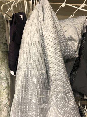 Blanket, same color, same pattern same store as the one that had the bedbugs in it.