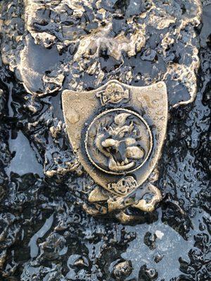 Things on the rabbits