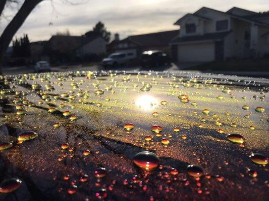 Brandon's Detail Service