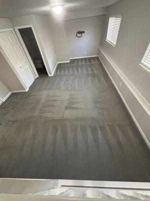 Pikes Peak Pristine Cleaning