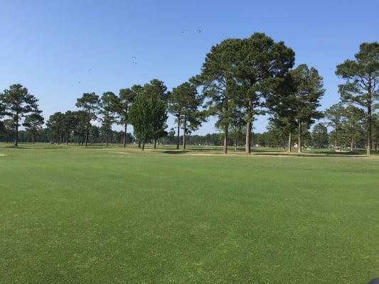 The Man-O-War Golf Club