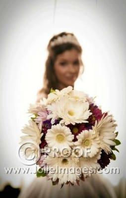 Sorry for the proof but I was so excited to share how beautiful my flowers looked!