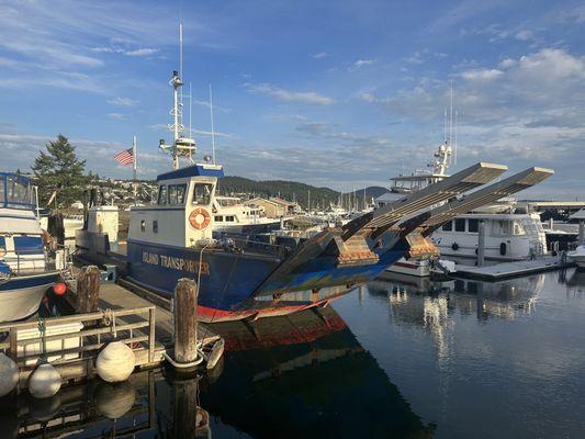 Island Transport Ferry Service Inc