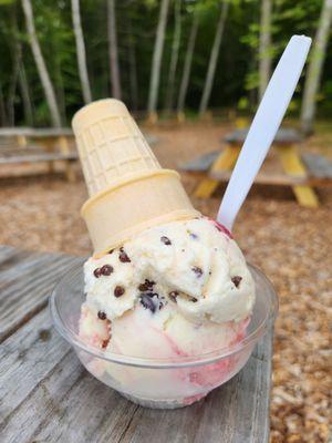 Two flavors ... yum! Maine Black Bear Maine Black Fly. Guess which is on top?!