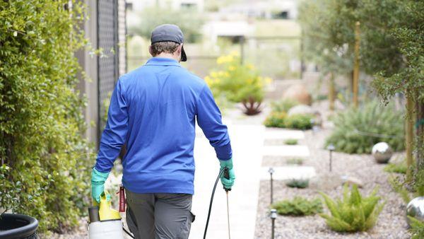 Green Arrow Pest Solutions