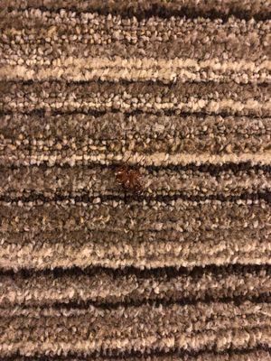 Holiday Inn Express Uvalde By IHG