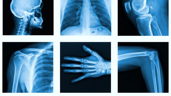 Orthopedic Partners - Charleston