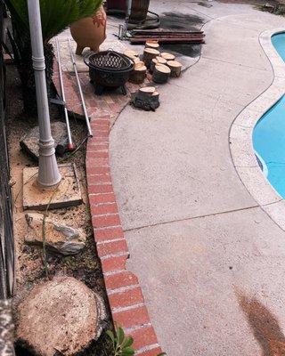 MJ’S Tree Trimming Services