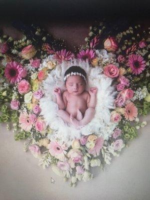 Kristi Motter Photography