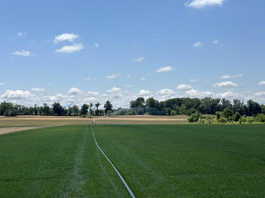 July 2024 Irrigation