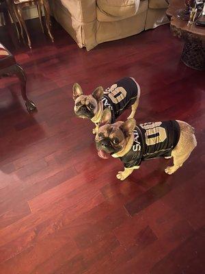 Firehouse Animal Health Center