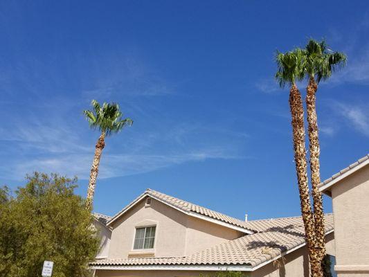 A & L Desert Landscapes