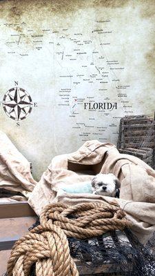 Pirate Pup Parade & Costume Contest