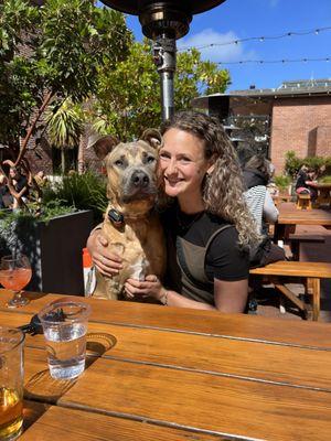 Skye's The Limit Dog Training