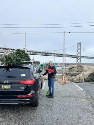 Christmas tree secured.