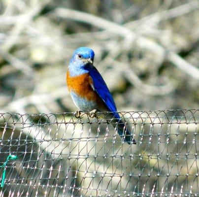 Acterra: Action for a Healthy Planet