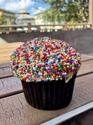 A Sprinkle cupcake