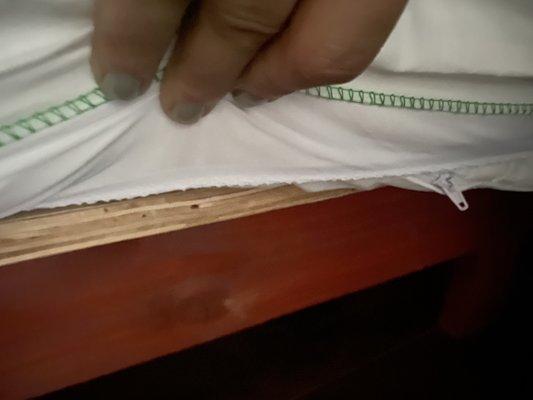 This is the plywood we had to sleep on