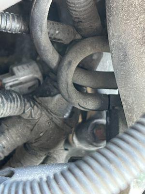 Cracked hose attached to the fuel evap system purge valve.
