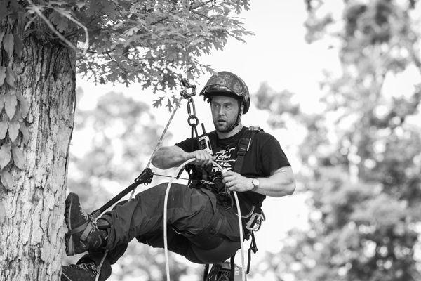 James climbing a tree for a pruning