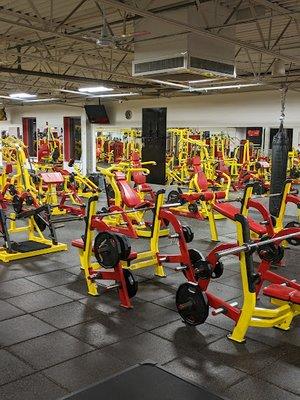 Retro Fitness