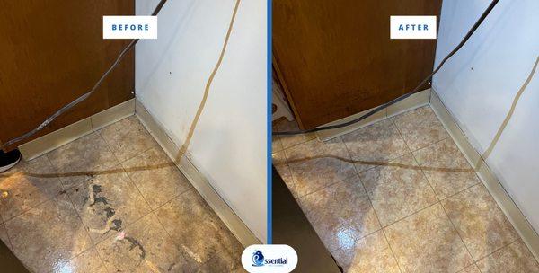 Essential Pro Cleaning