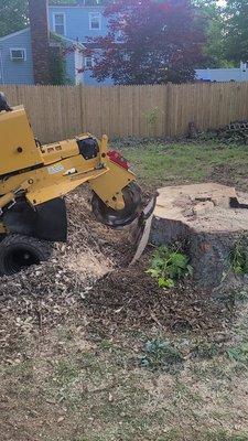 Four Sons Farm Stump Grinding