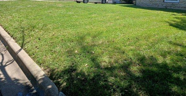 Raymond's Landscaping & Tree Services