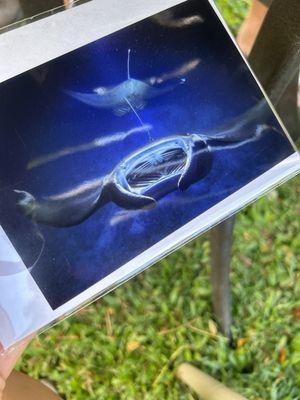 In the Ocean Gallery & Gift