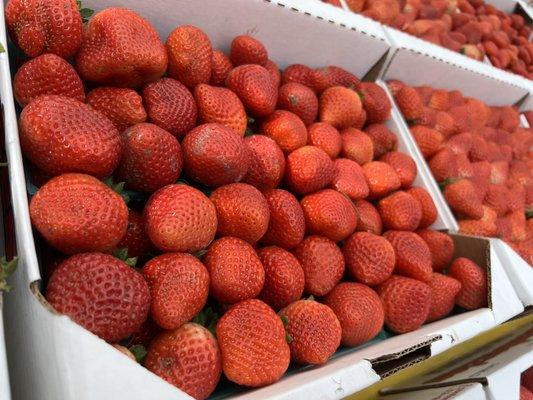 Santiago's Fruit Stand