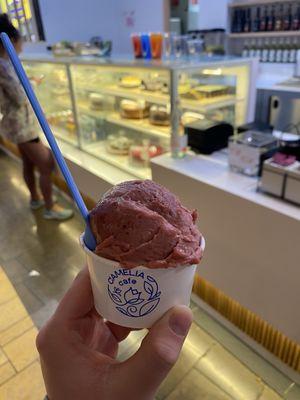 Camelia Cafe