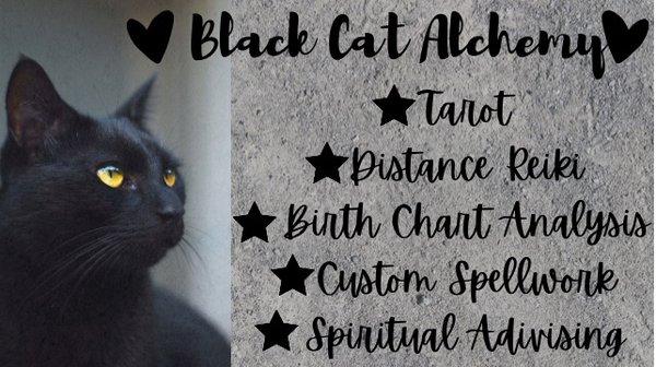 Black Cat Alchemy