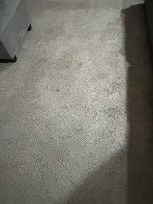 Azteca Carpet Cleaning