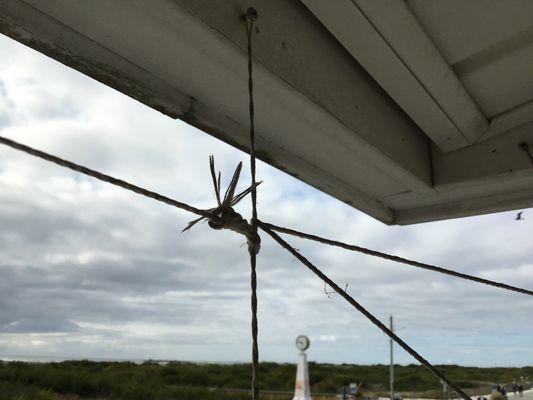 Adventurer Pancake House and Family Restaurant