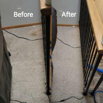 True North Carpet Cleaning