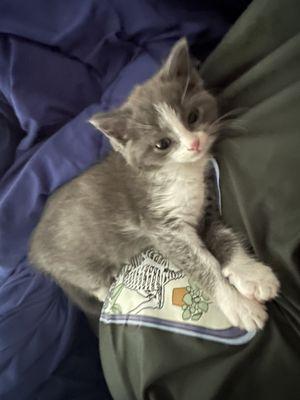 Suburban Veterinary Clinic