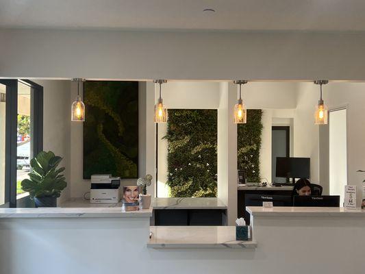 Our calming reception area with living walls