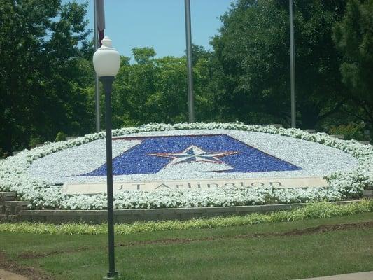 University of Texas at Arlington