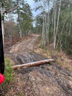 All Out Dirt Works & More