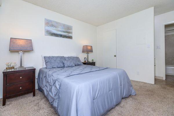 Spacious bedroom in a one-bedroom apartment with a walk-in closet and attached bathroom, offering a primary suite experience.
